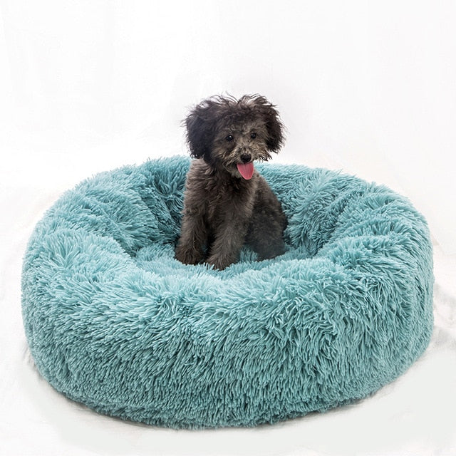 Doggie Donut Bed