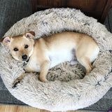 Doggie Donut Bed