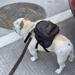 Leather Doggie Harness Backpack