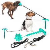 Doggie Tether Toy